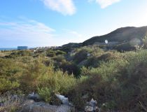 Sprzedaż - Działka - Guardamar del Segura - Los Secanos