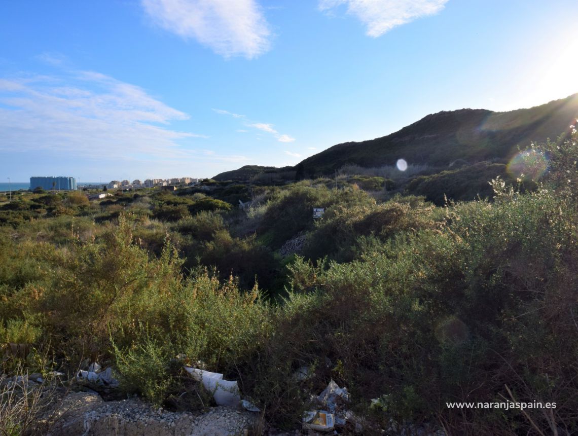 Sprzedaż - Działka - Guardamar del Segura - Los Secanos