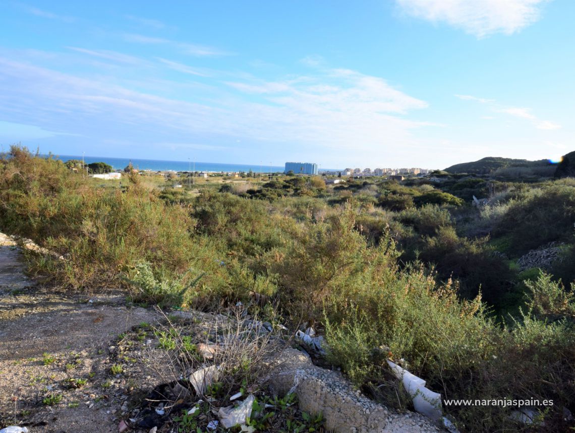 Sprzedaż - Działka - Guardamar del Segura - Los Secanos