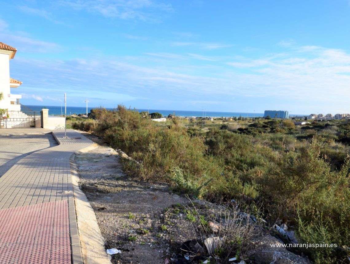 Sprzedaż - Działka - Guardamar del Segura - Los Secanos