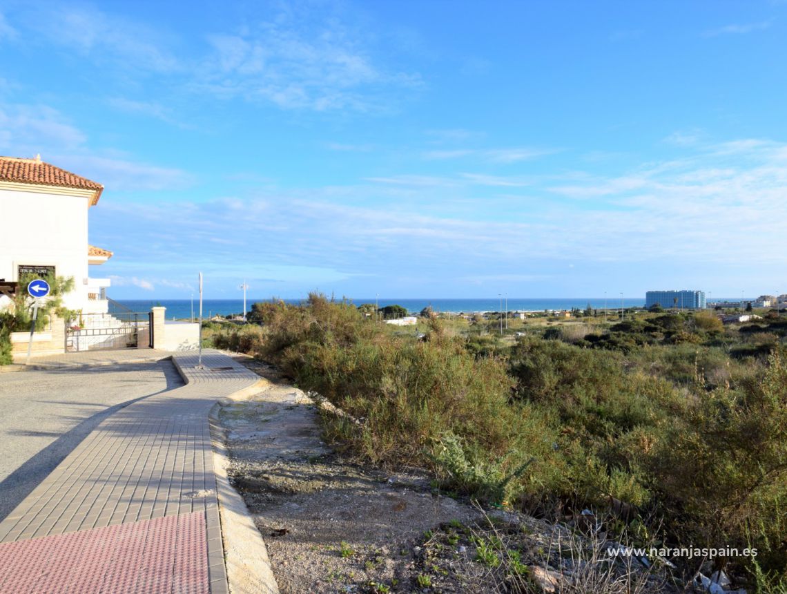 Sprzedaż - Działka - Guardamar del Segura - Los Secanos