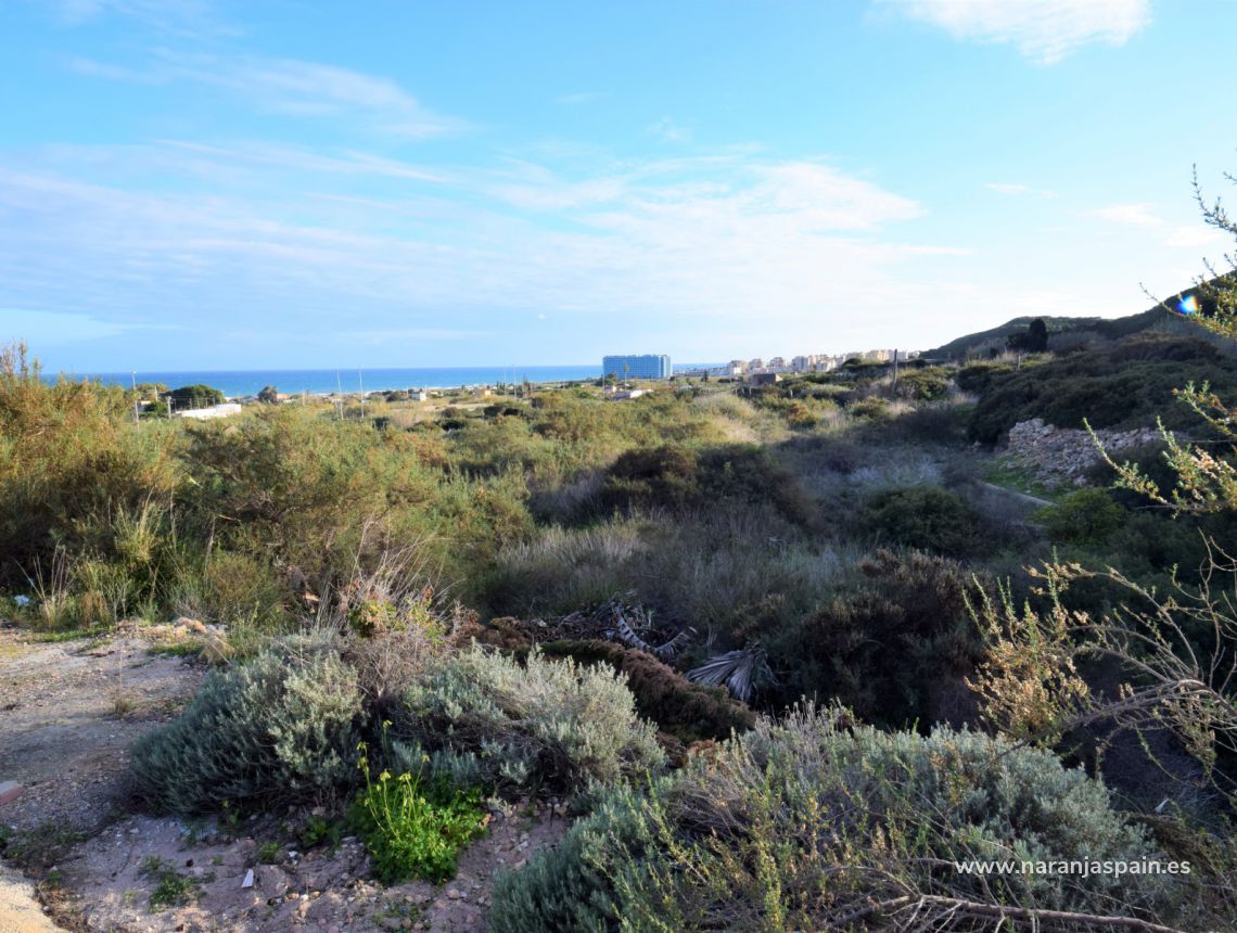 Sprzedaż - Działka - Guardamar del Segura - Los Secanos