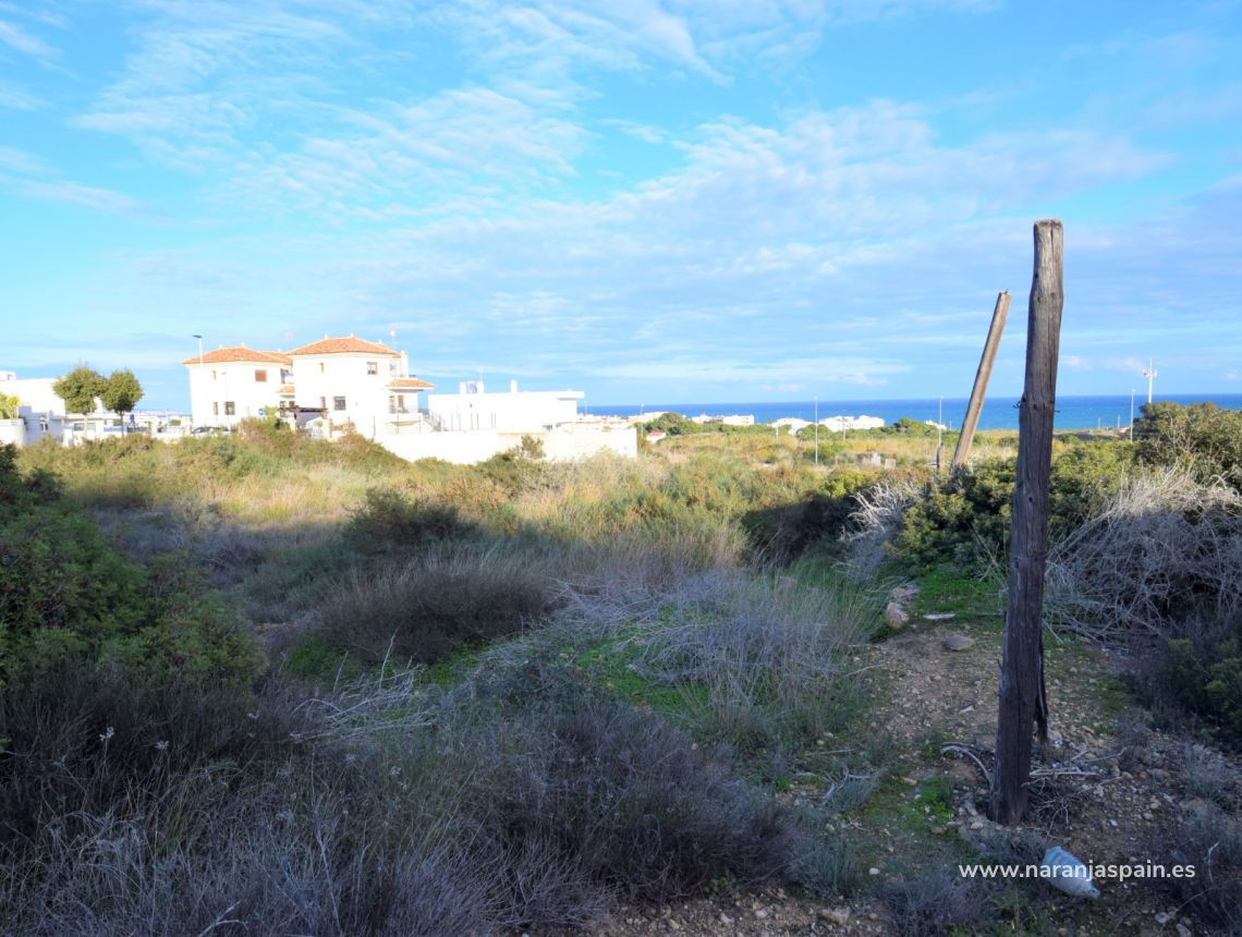 Sprzedaż - Działka - Guardamar del Segura - Los Secanos