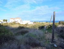 Sprzedaż - Działka - Guardamar del Segura - Los Secanos