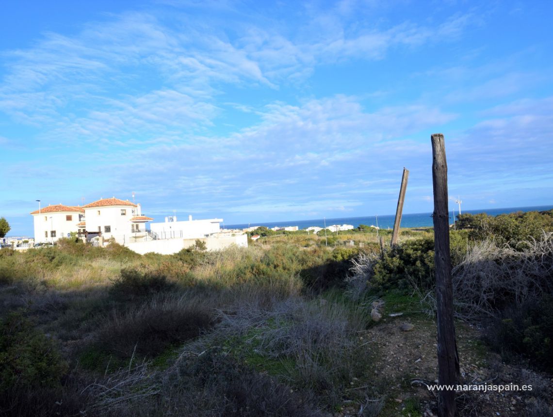 Sprzedaż - Działka - Guardamar del Segura - Los Secanos