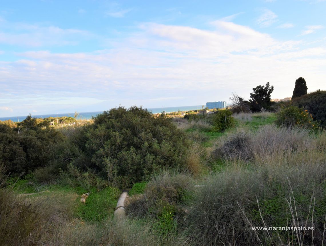 Sprzedaż - Działka - Guardamar del Segura - Los Secanos