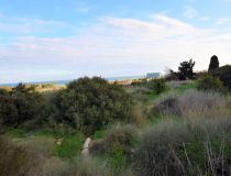 Sprzedaż - Działka - Guardamar del Segura - Los Secanos