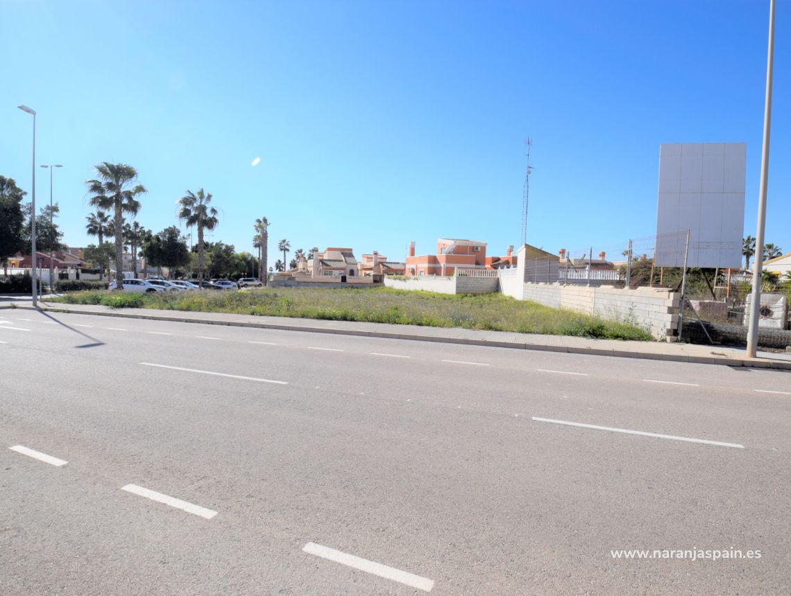 Sprzedaż - Działka - Guardamar del Segura - Urb. El Raso