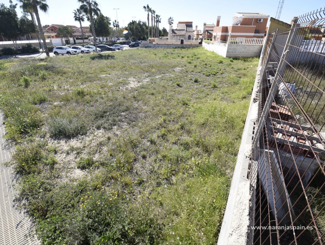 Sprzedaż - Działka - Guardamar del Segura - Urb. El Raso