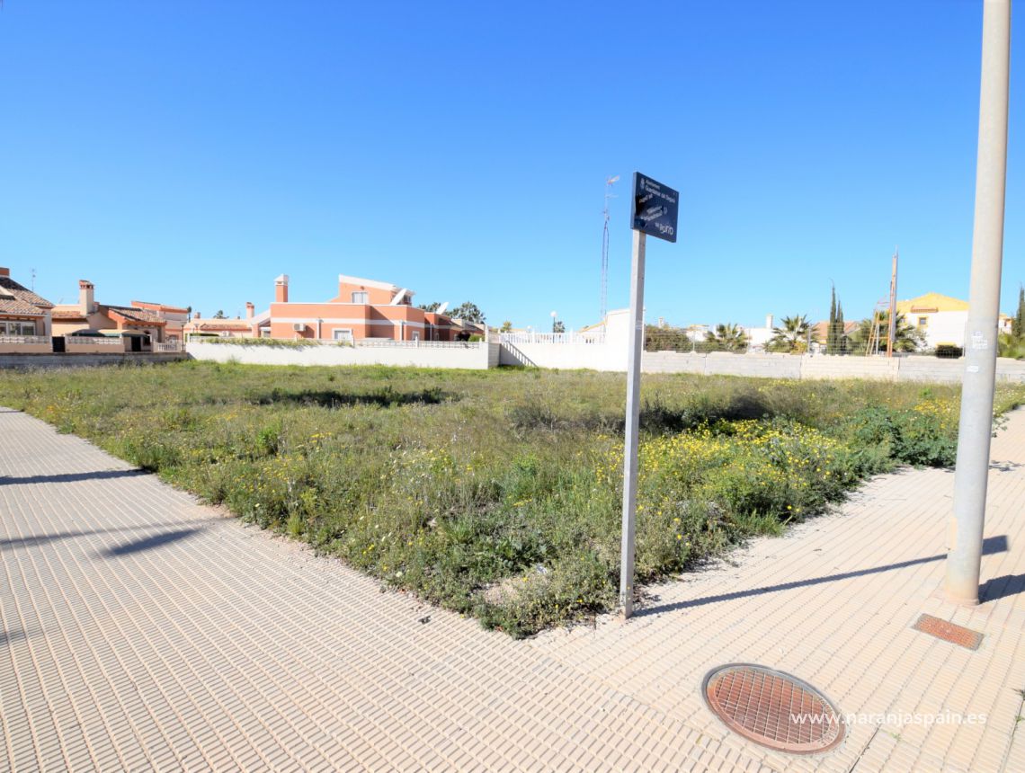 Sprzedaż - Działka - Guardamar del Segura - Urb. El Raso
