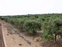 Sprzedaż - Działka - Guardamar del Segura - Urb. Lomas del Polo