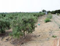 Sprzedaż - Działka - Guardamar del Segura - Urb. Lomas del Polo