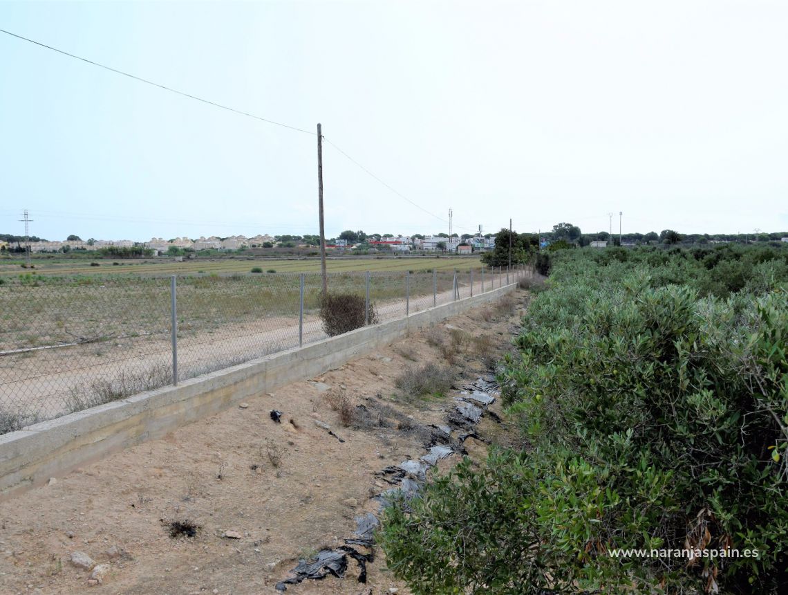 Sprzedaż - Działka - Guardamar del Segura - Urb. Lomas del Polo