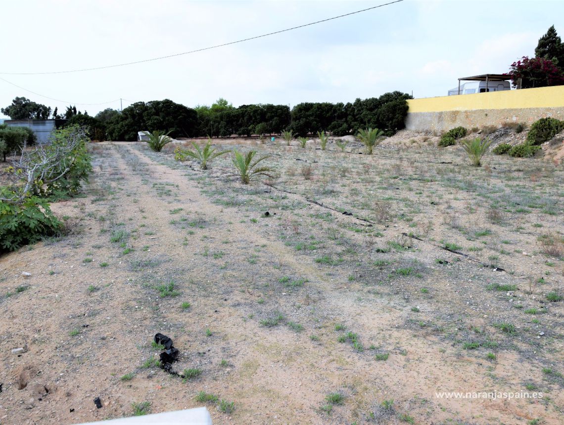 Sprzedaż - Działka - Guardamar del Segura - Urb. Lomas del Polo