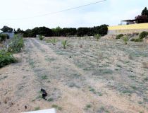 Sprzedaż - Działka - Guardamar del Segura - Urb. Lomas del Polo