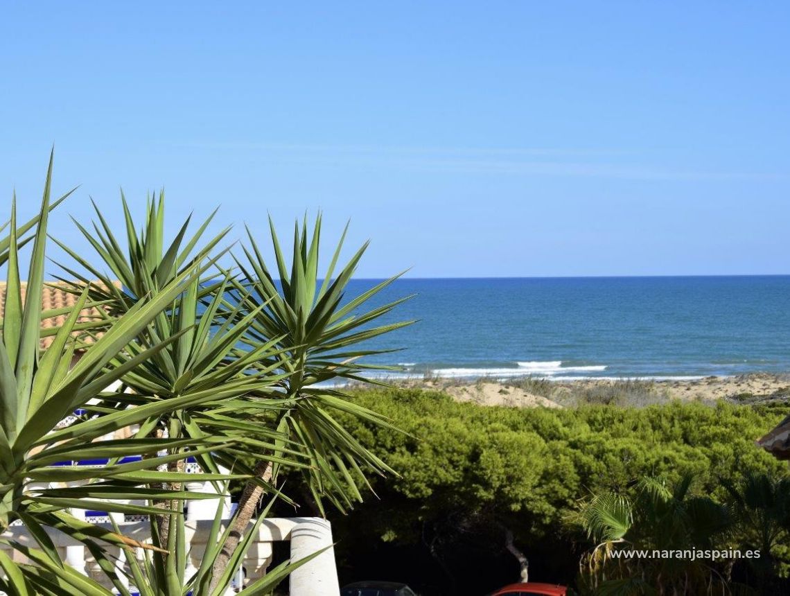 Sprzedaż -  - Guardamar del Segura - Campomar