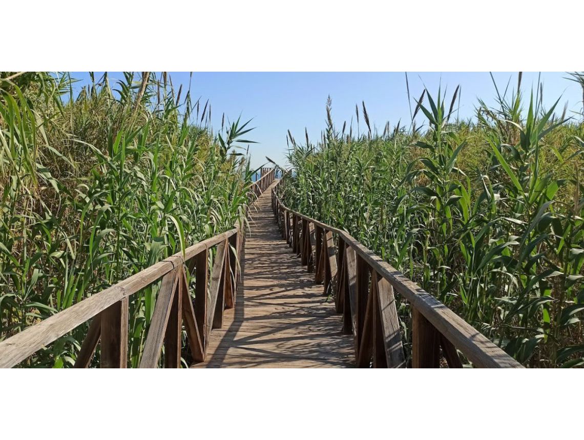 Sprzedaż -  - Guardamar del Segura - Campomar