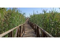 Sprzedaż -  - Guardamar del Segura - Campomar