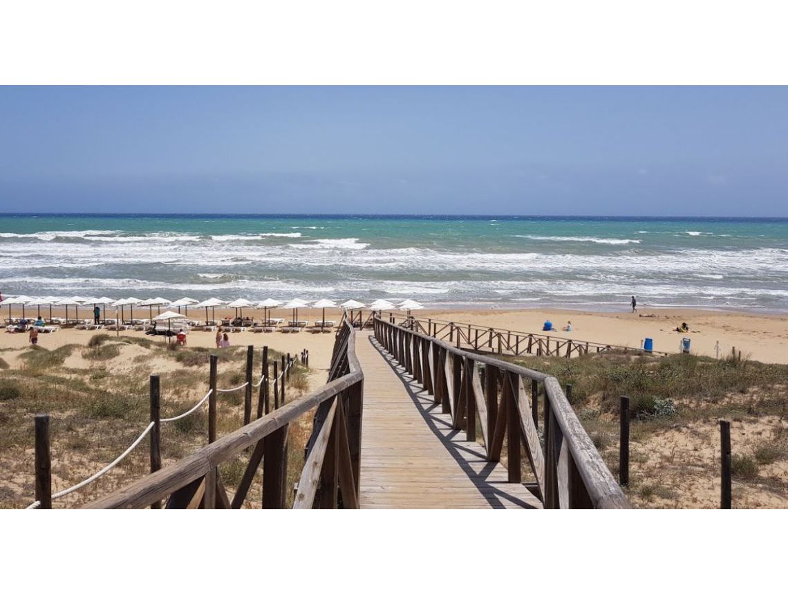 Sprzedaż -  - Guardamar del Segura - Campomar