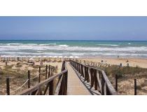 Sprzedaż -  - Guardamar del Segura - Campomar