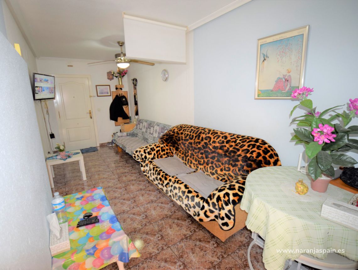 Sprzedaż - Loft - Guardamar del Segura - Plaża Guardamar