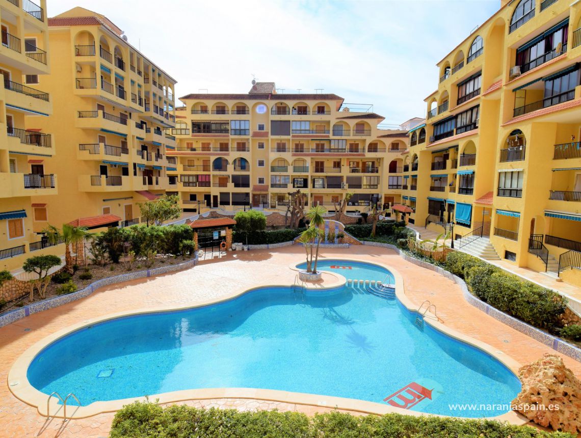 Sprzedaż - Loft - La Mata, Torrevieja - La Mata