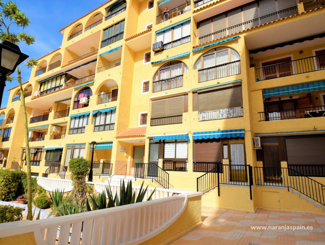 Sprzedaż - Loft - La Mata, Torrevieja - La Mata
