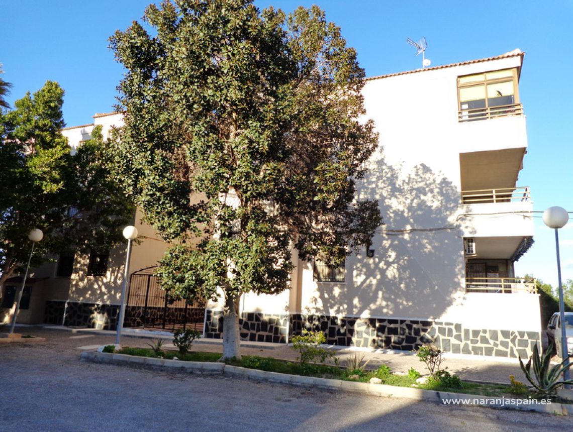 Sprzedaż - Loft - Torrevieja - Torrevieja town