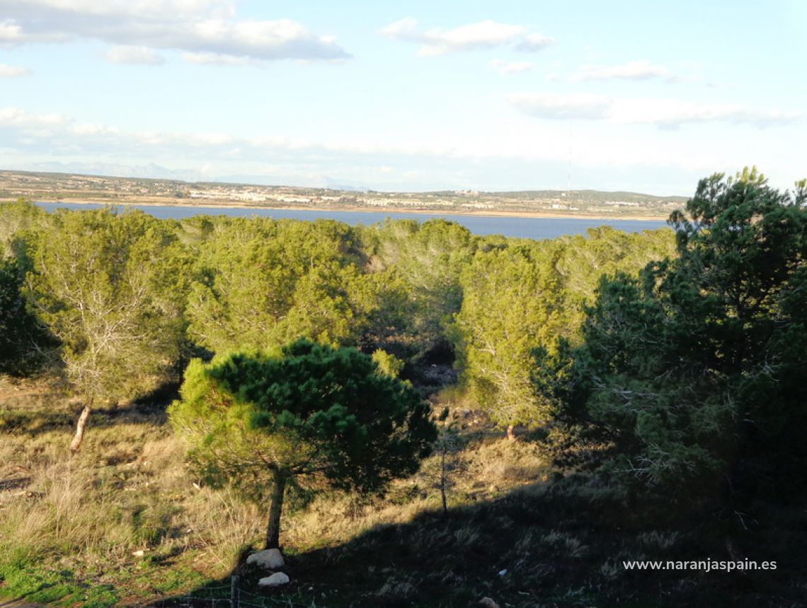 Sprzedaż - Loft - Torrevieja - Torrevieja town