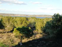 Sprzedaż - Loft - Torrevieja - Torrevieja town