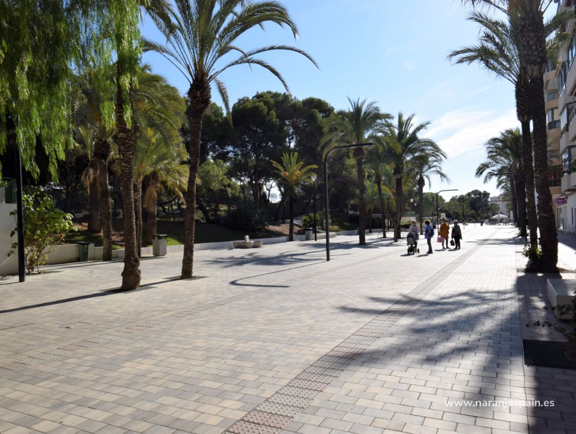 Sprzedaż - Nieruchomość komercyjna - Guardamar del Segura - Centrum Guardamar