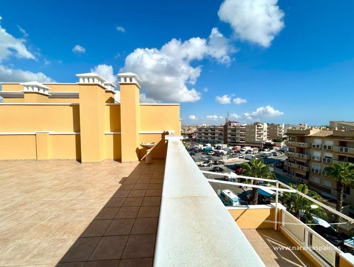 Sprzedaż - Penthouse - Dehesa de campoamor - Campoamor