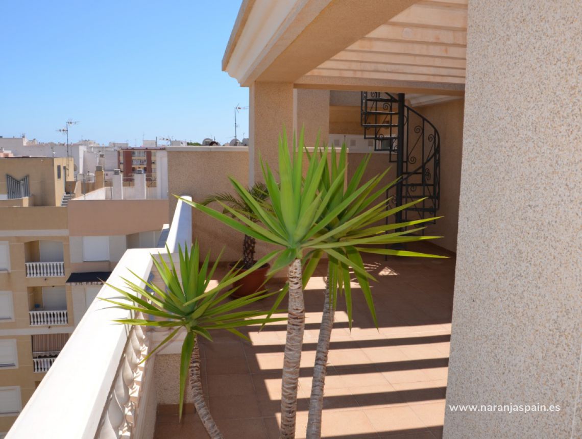 Sprzedaż - Penthouse - Guardamar del Segura - Harbour Guardamar