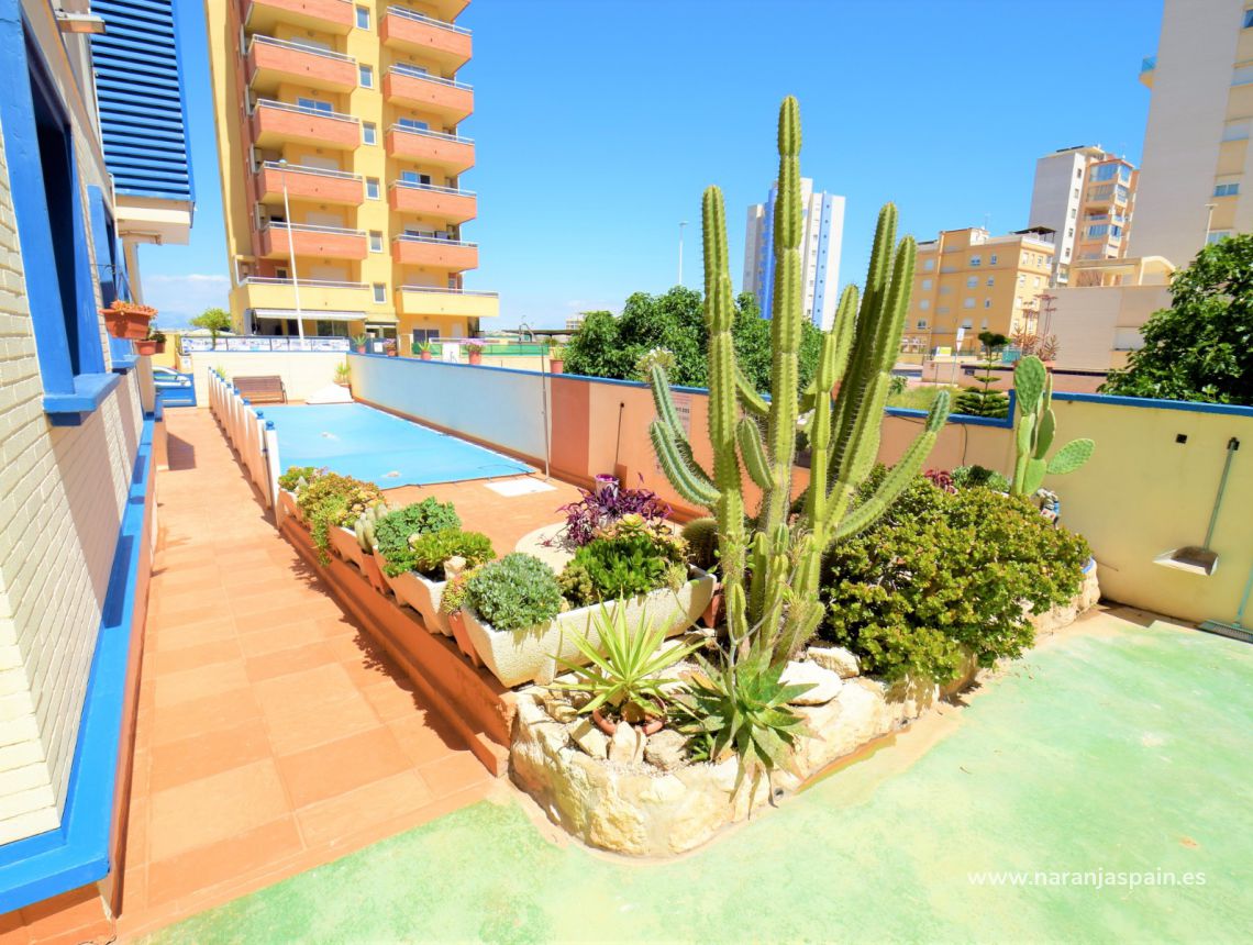 Sprzedaż - Penthouse - Guardamar del Segura - Harbour Guardamar