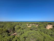 Sprzedaż - Penthouse - Guardamar del Segura - Pineforest