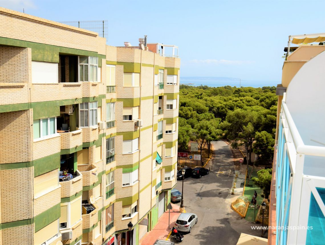 Sprzedaż - Penthouse - Guardamar del Segura - Pineforest