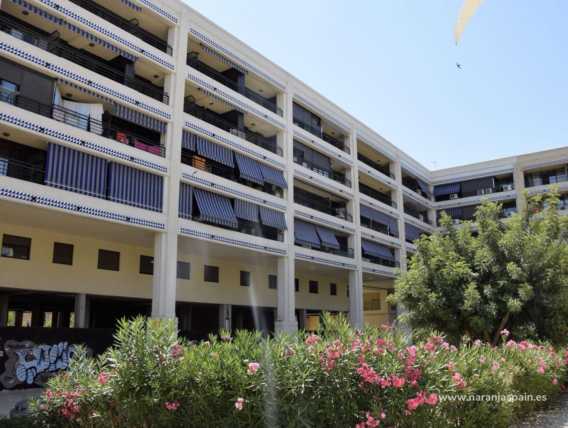 Sprzedaż - Penthouse - Guardamar del Segura - Plaza Porticada