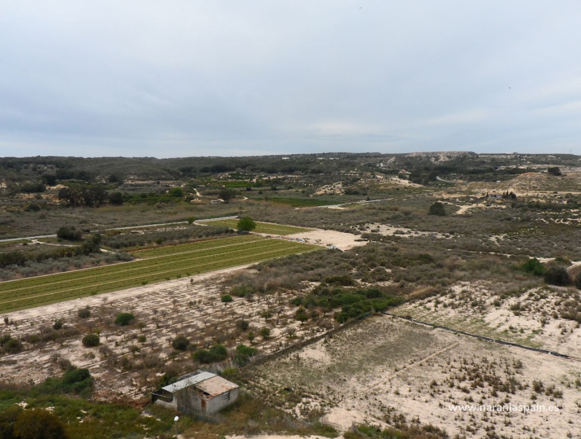 Sprzedaż - Penthouse - Guardamar del Segura - Urb. Los Altos de Eden