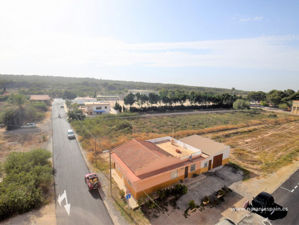 Sprzedaż - Penthouse - La Marina - El Pinet