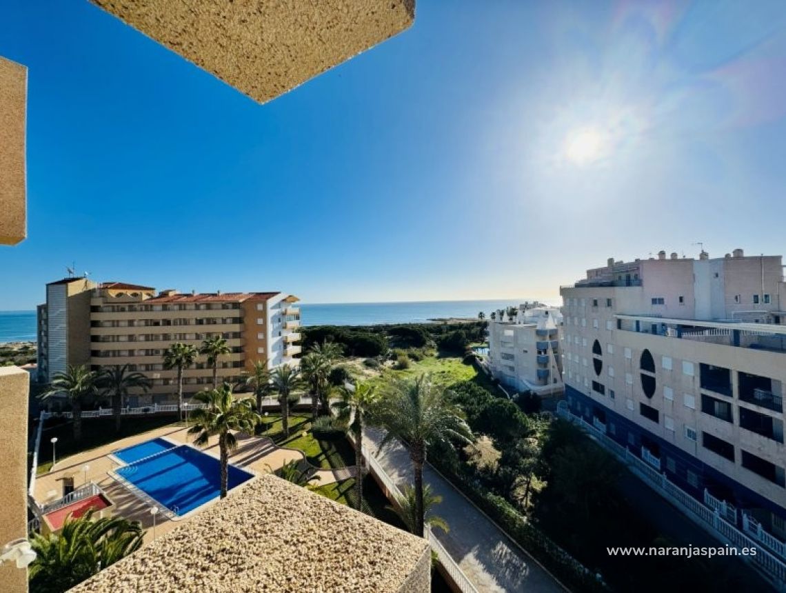 Sprzedaż - Penthouse - La Mata, Torrevieja - Alanis