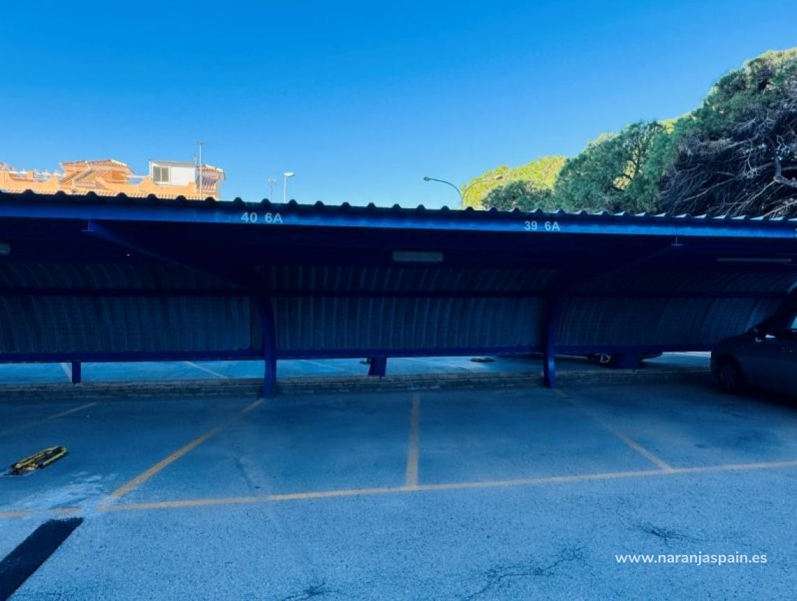 Sprzedaż - Penthouse - La Mata, Torrevieja - Alanis