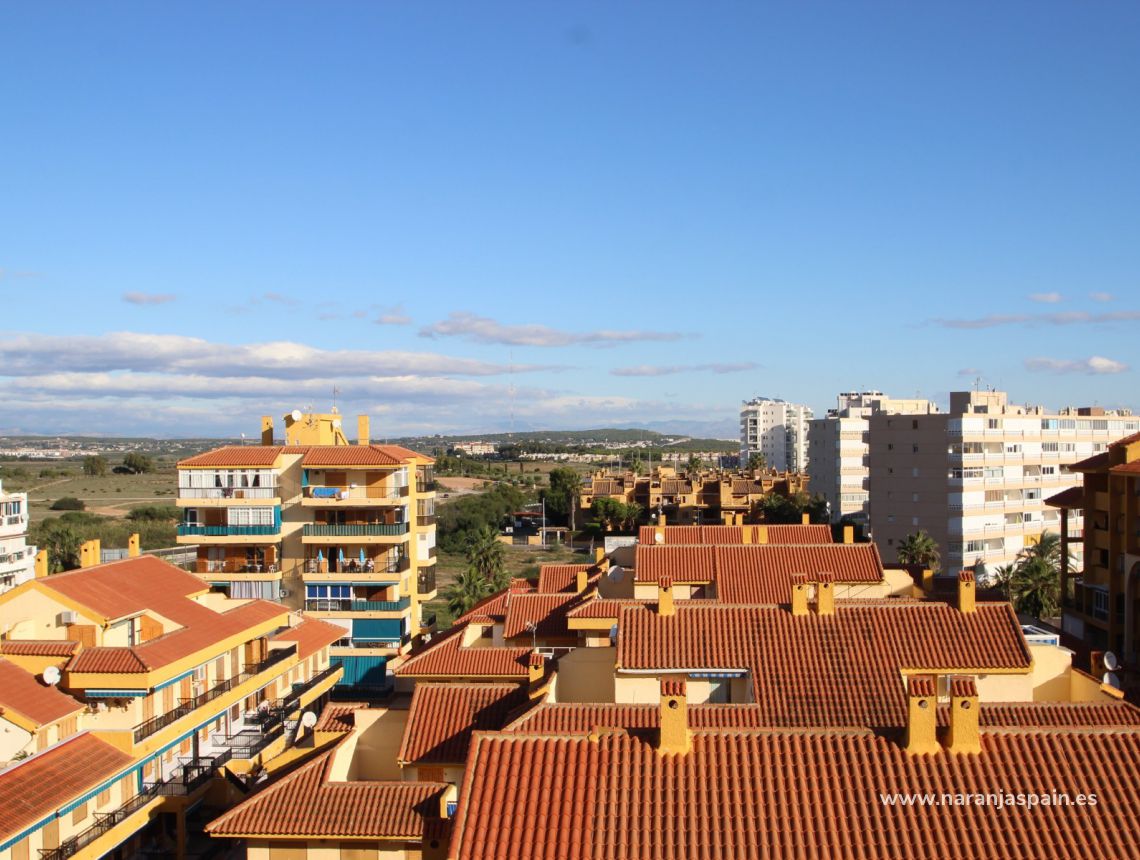 Sprzedaż - Penthouse - La Mata, Torrevieja - La Mata