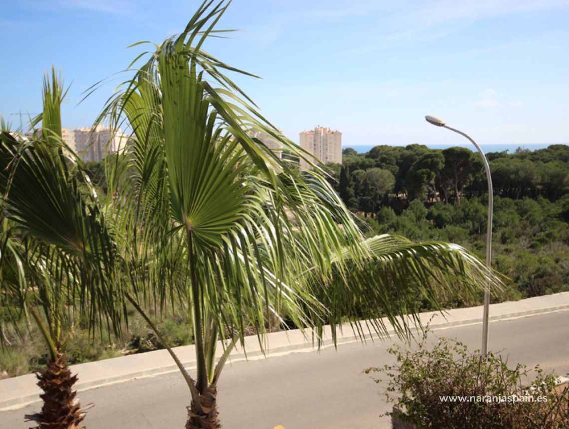 Sprzedaż - Penthouse - Orihuela Coast - Campoamor