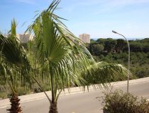 Sprzedaż - Penthouse - Orihuela Coast - Campoamor