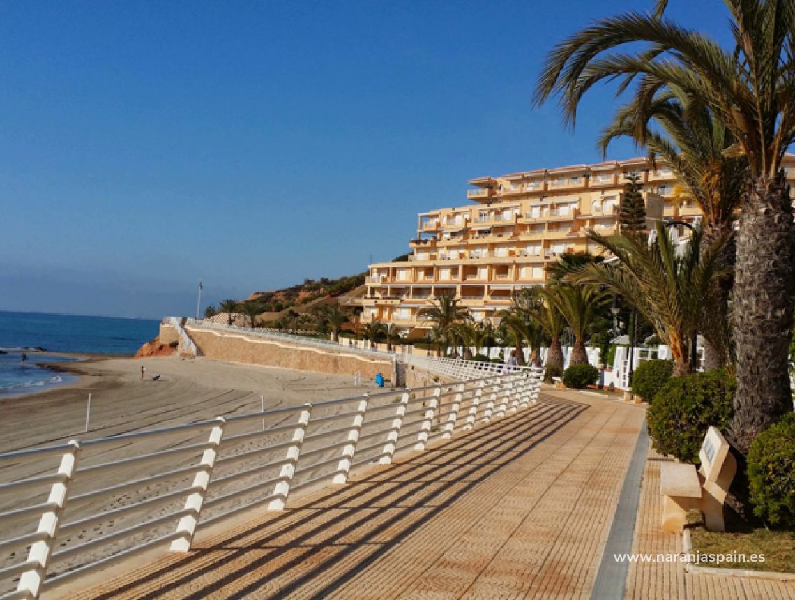 Sprzedaż - Penthouse - Orihuela Coast - Campoamor