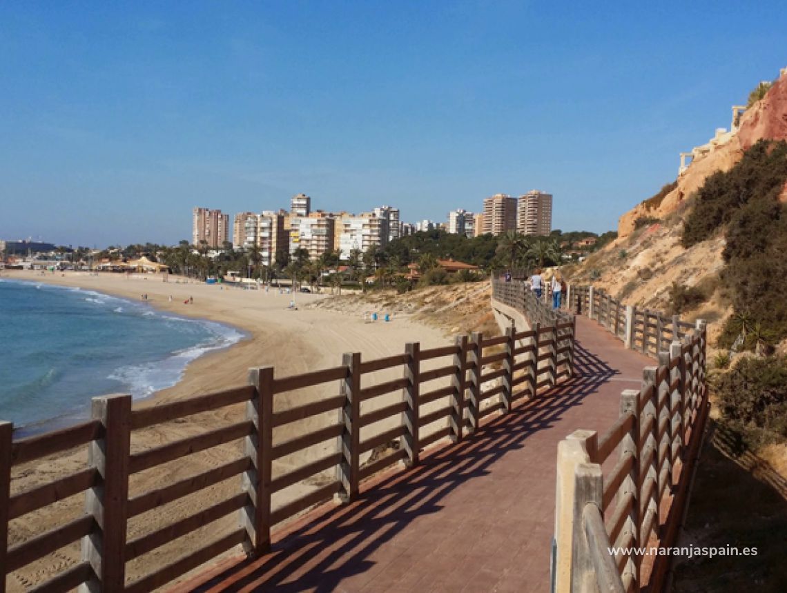 Sprzedaż - Penthouse - Orihuela Coast - Campoamor