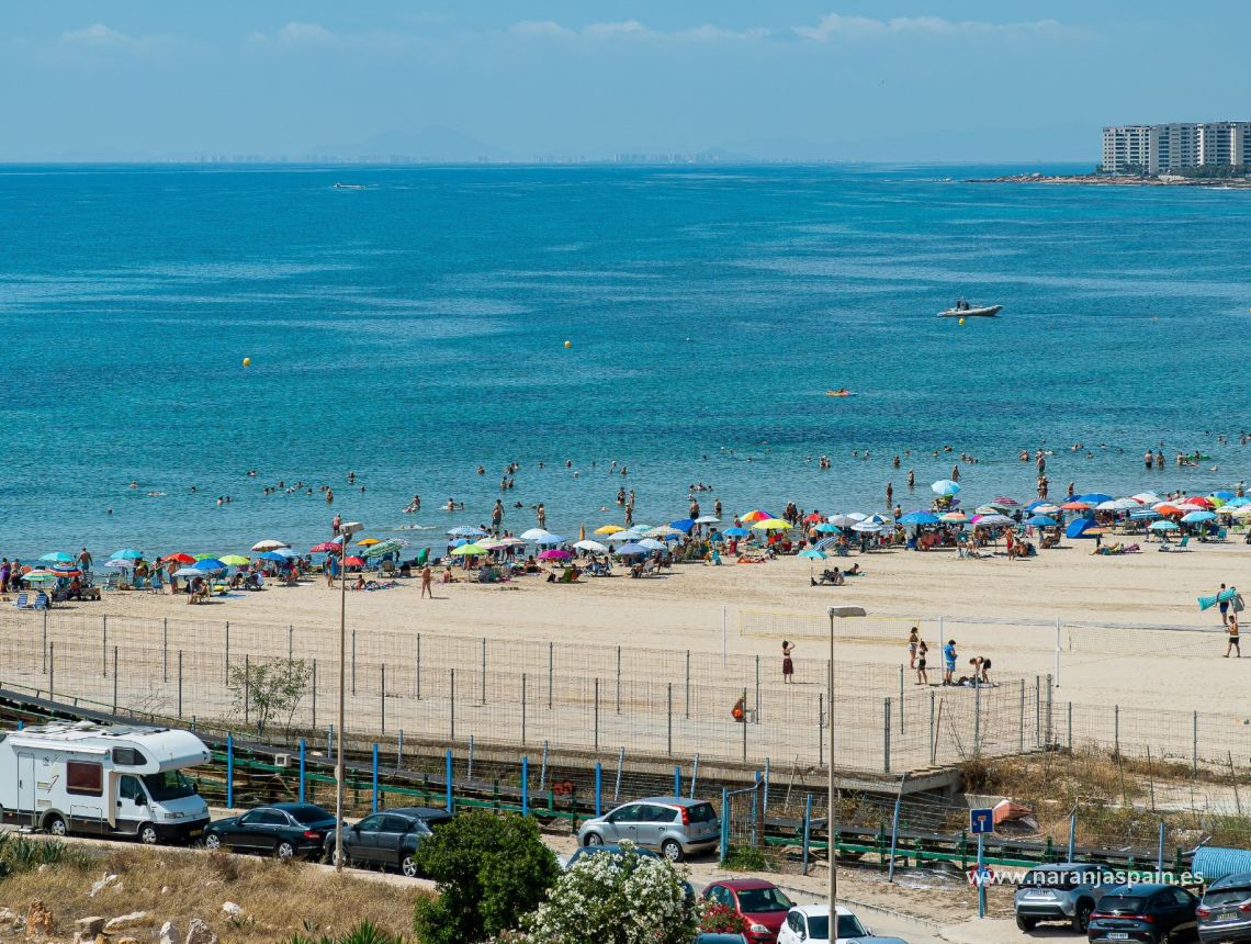 Sprzedaż - Penthouse - Torrevieja - Playa del Acequión