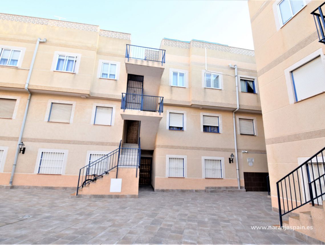 Sprzedaż - Penthouse - Torrevieja - Torrevieja town