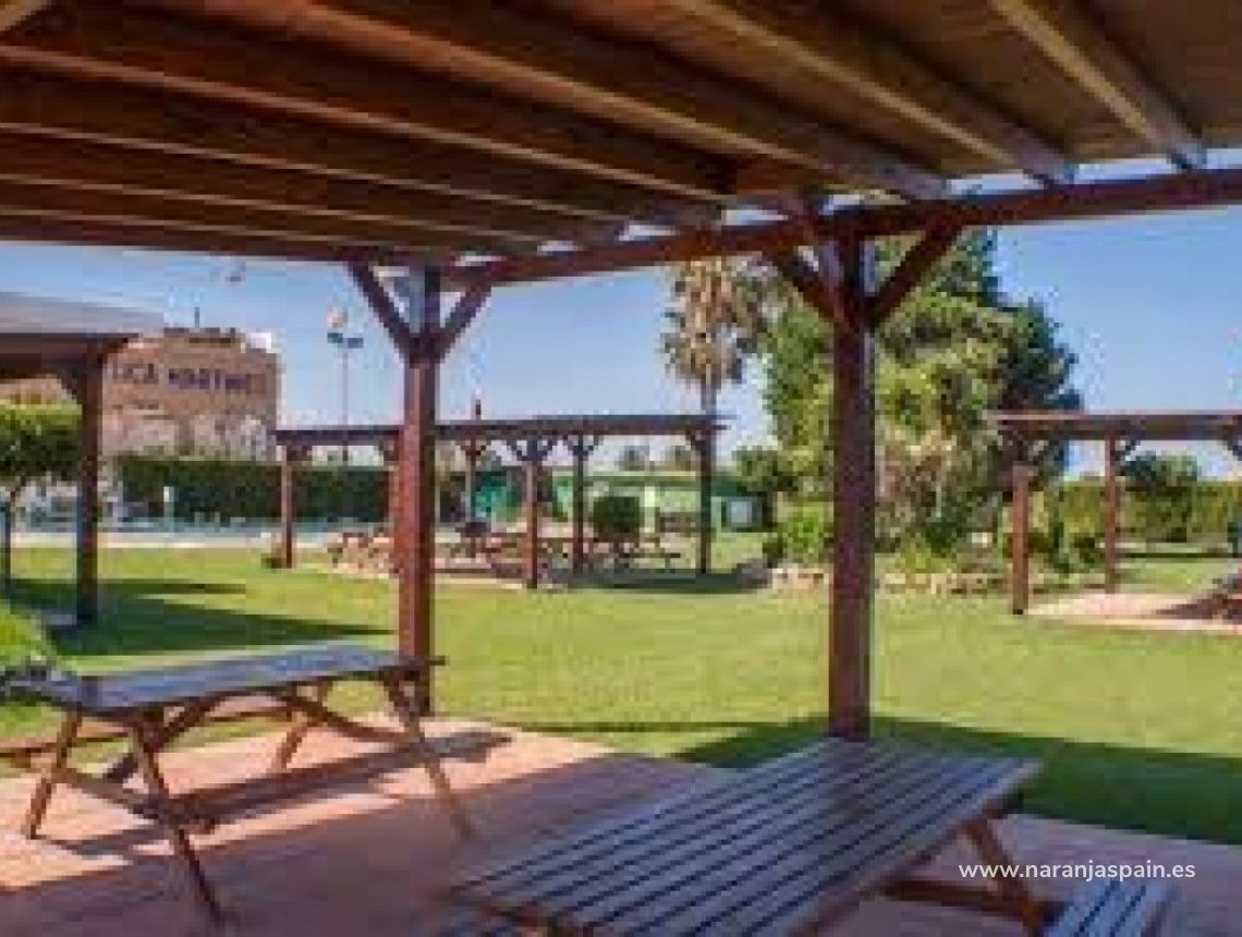 Sprzedaż - Penthouse - Torrevieja - Torrevieja town