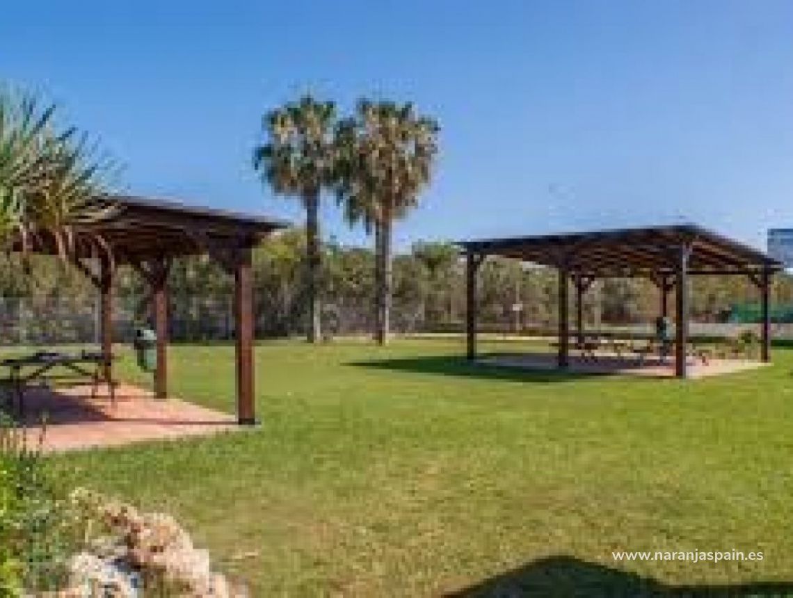 Sprzedaż - Penthouse - Torrevieja - Torrevieja town